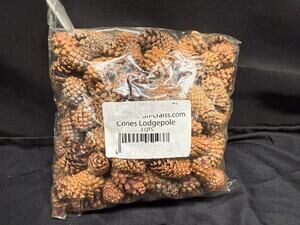 2 lbs Christmas 1-2 Inch Small Brown Pine Cones Thanksgiving Crafts Wreaths 3QTS